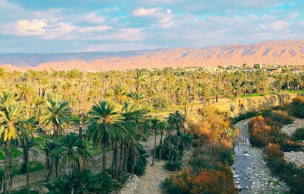 Algeria Desert Tour Bou Saada – Biskra – El Oued ()