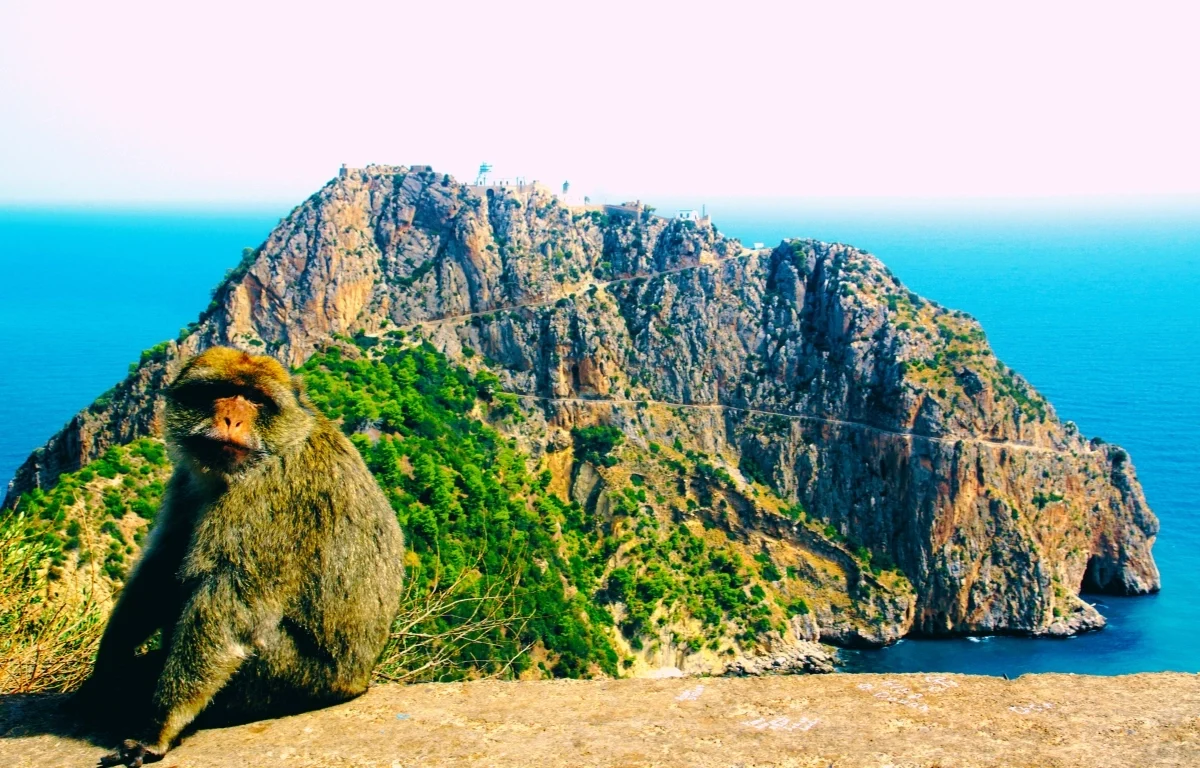 Bejaia Algeria ()