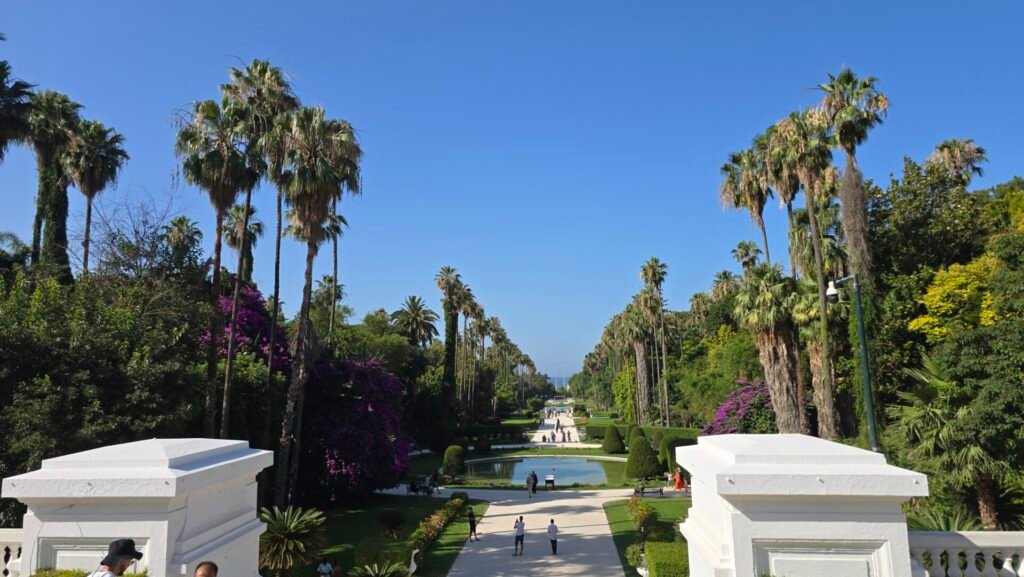 Discover Algeria