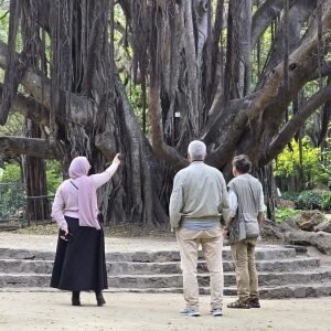 Hamma Botanical Garden Algiers Hamma Botanical Garden Algiers